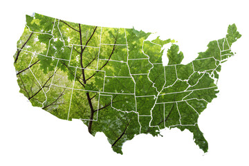Fototapeta premium The United States map with vibrant foliage patterns and transparent leaves, blending geography with nature's intricate details, isolated on a transparent background