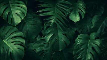 Vibrant Green Fern Background in Nature