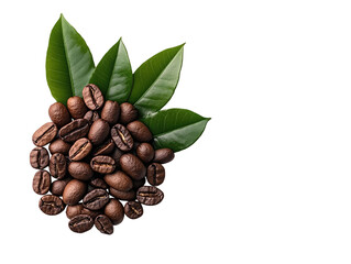 Unique Kopi Luwak coffee beans from Indonesia presented with leaves on a clean white background