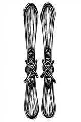 Closeup view of skis in skiing season
