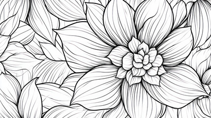 Close-up monochrome line drawing of blooming flowers.