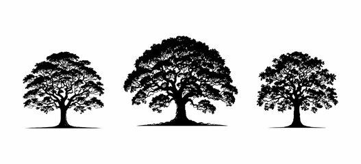 Set of a silhouette full tree On White background