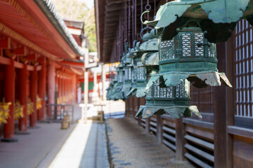 Obraz premium 吊り灯籠と静寂の神社風景 Hanging Lanterns and Serene Shrine Scenery