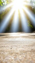 A blurry image of the sun shining through the trees