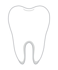 tooth isolated on white background