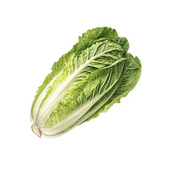 Romaine PNG