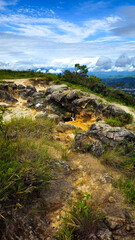 A picturesque natural scene capturing a vibrant day with a vast blue sky filled with fluffy clouds, surrounded by lush, colorful vegetation. At the heart of this landscape, a beautiful Border Collie r