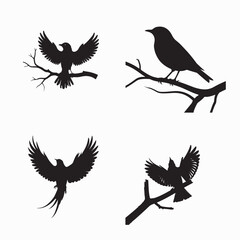 bird silhouette set, bird vector image.