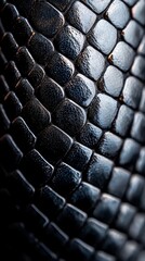 Fototapeta premium A close up of a black snake skin texture
