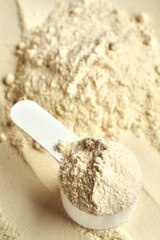 Fototapeta premium Whey protein powder in a plastic measuring spoon