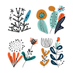 A selection of various flowers arranged on a clean white surface