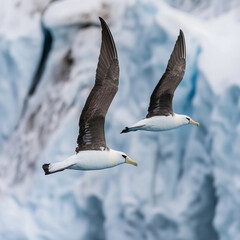 A group of albatrosses glides effortlessly over frigid waters, surrounded by floating icebergs. Early morning light casts a serene glow on the scene, highlighting their majestic flight.
