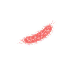Escherichia Coli Illustration