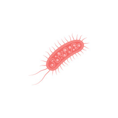 Escherichia Coli Illustration