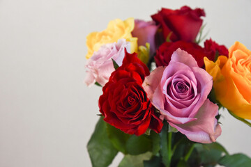 カラフルな薔薇