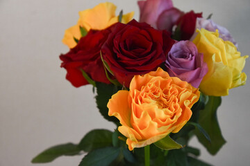 カラフルなばら