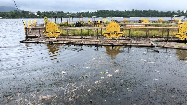 Fish killed by weather conditions float on the surface of the lake