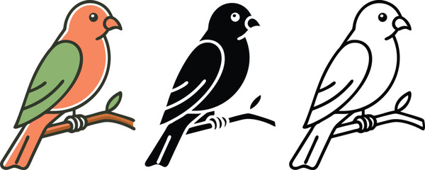Three Bird Illustrations Colored, Black, and Outline Drawings
