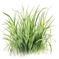 Close up of a bunch of green grass