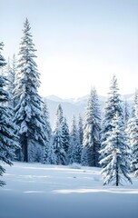 Fototapeta premium Snowy Fir Trees in a Winter Mountain Landscape