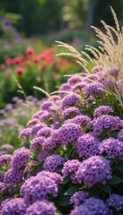 Fototapeta premium A stunning display of lush purple flowers intermingles with delicate grasses, creating a picturesque garden scene. The vibrant colors and soft textures evoke a sense of tranquility and natural beauty