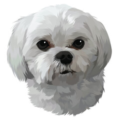 close up of a white dog