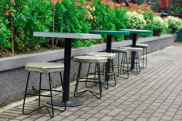 Stylish outdoor seating arrangement surrounded by vibrant greenery.