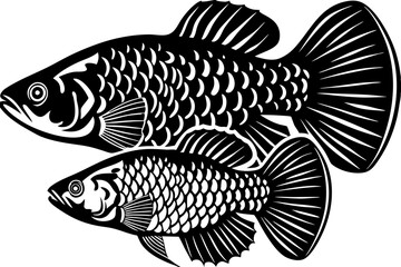 illustration of a fish