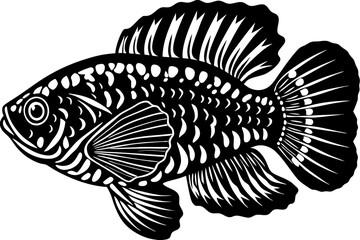 illustration of a fish