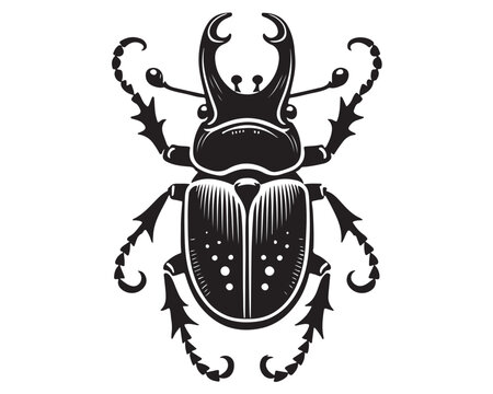 Beetle 13.eps