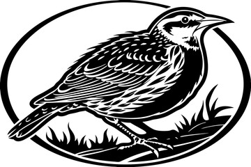 illustration of a bird