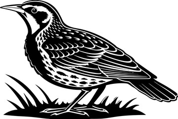 illustration of a bird