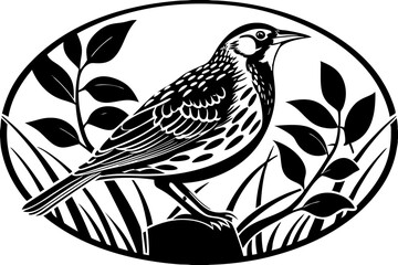 illustration of a bird