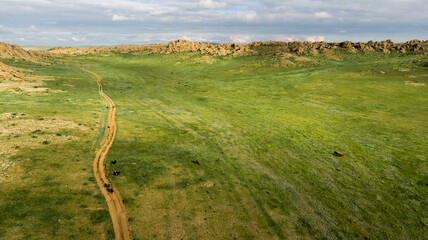 Aerial view of a vast green valley with a dirt road and scattered livestock in the Gobi region of Mongolia.
