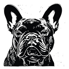 Detailed French Bulldog head illustration in black and white.