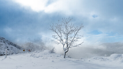 Fototapeta premium Beautiful winter landscape in Bozdag, Odemis, Turkey, featuring snow-covered mountains, forests, and villages. Dramatic clouds, fog, and soft natural light create a peaceful and scenic nature