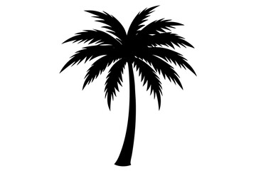 palm tree silhouette