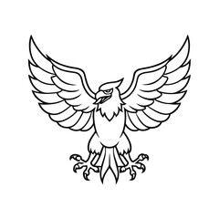 Obraz premium Flying Eagle Line Drawing with Sharp and Bold Features