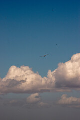Cloudy sky. Storm clouds. Background