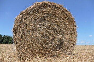 Close-up of round hay bales in a sunlit field during summer, under a clear blue sky. Idyllic rural scene in Europe, showcasing agriculture and natural beauty.