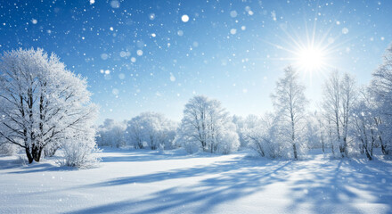 Fototapeta premium Stunning winter landscape with sunlight shining on snow-covered trees, soft falling snowflakes, and a bright, serene atmosphere, perfect for seasonal designs and holiday themes.
