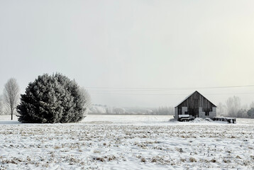 The fog in the distance.
