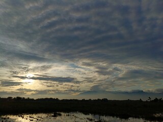 Rice fields at sunrise and silhouetted mountains at the end, with blue sky and clouds