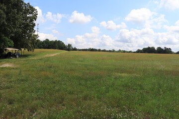 field and sky