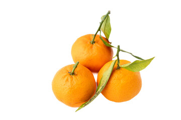 Gennevilliers, France - 01 02 2024: still life. Close up of three clementines with leaves on a white background.