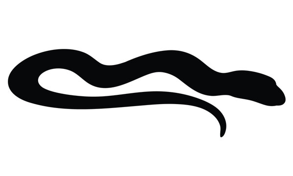 Cute cartoon hand drawn vector snake icon silhouette.