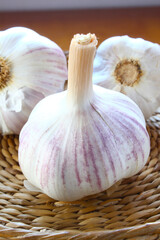 Garlic bulb in a wicker basket. Brazilian spices.