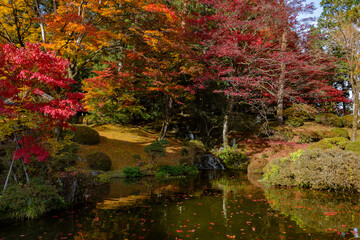 Colorful Trees by the Water