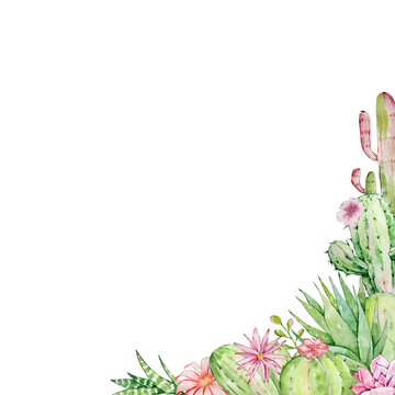 Watercolor cactus and succulent frame, tropical plants, botanical illustration