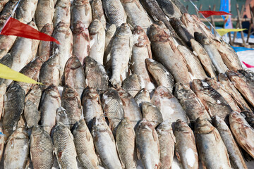 Aobao piled with wild lake fish caught in winter